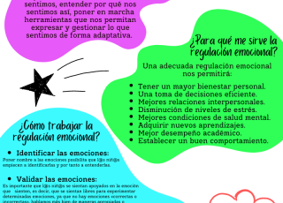 Pildorita con información acerca de la regulación emocional.